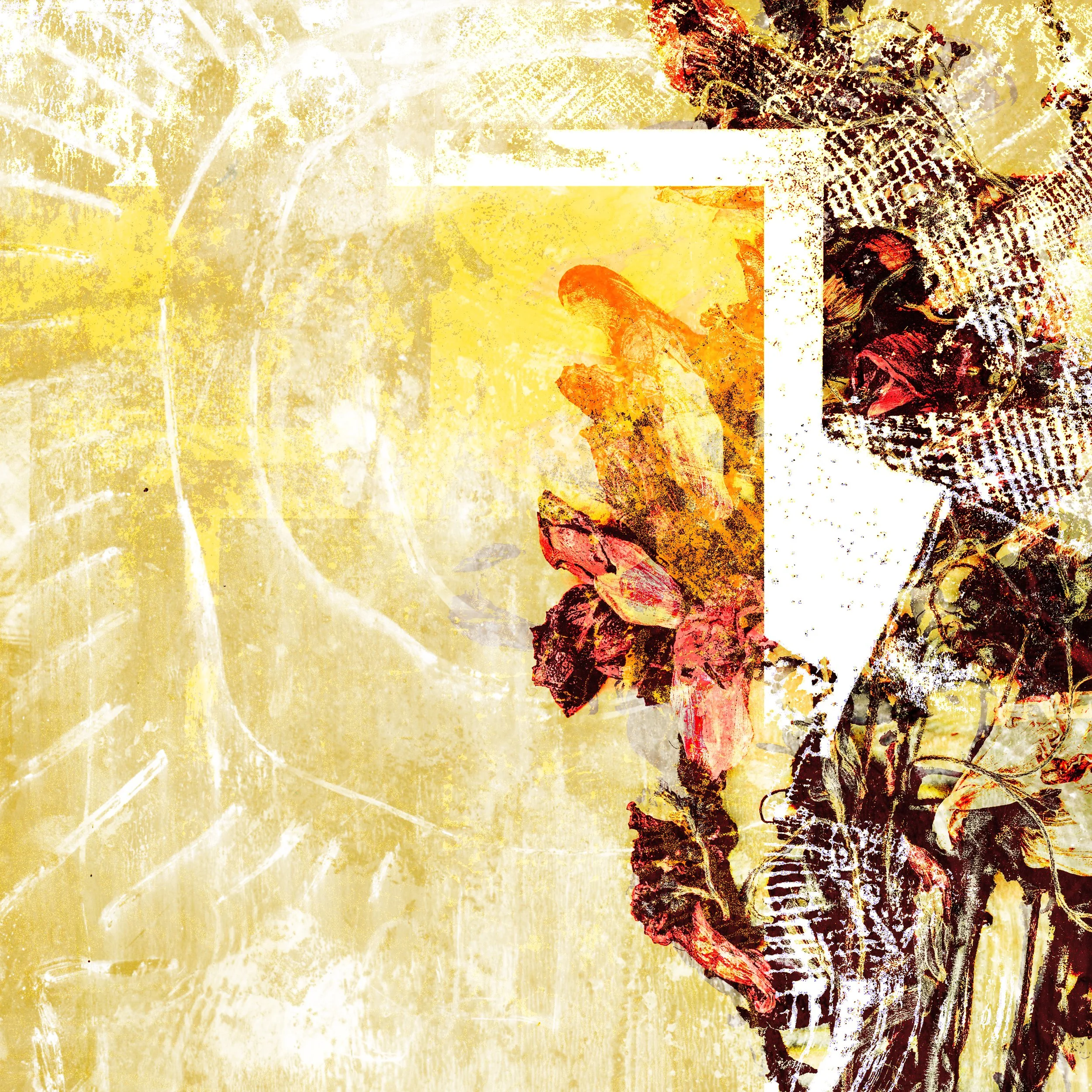 Losing The Light — joel barnett